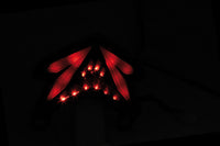 smart LED Taillight for KAWASAKI NINJA ZX-6 R, Z 800