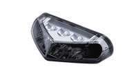 smart LED Rücklicht, getöntes Glas