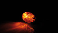 smart Mini-Blinker CATEYE